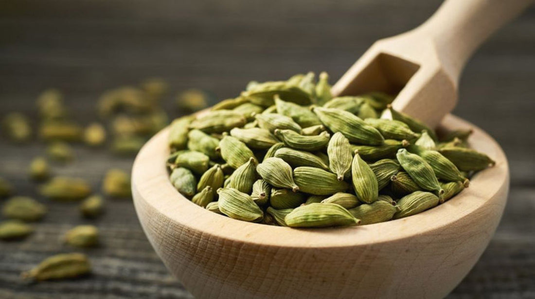 Kardamon – król aromatów z dalekiej Gwatemali