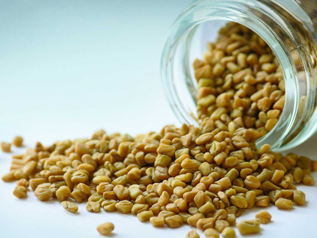 Nasiona kozieradki 70g