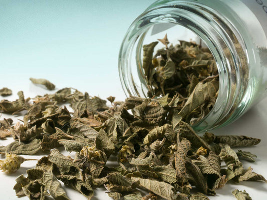 Oregano meksykańskie 10g